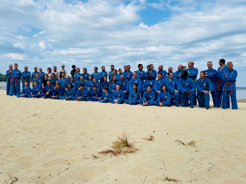 Union Vovinam Viet Vo Dao France Etre fort pour être utile